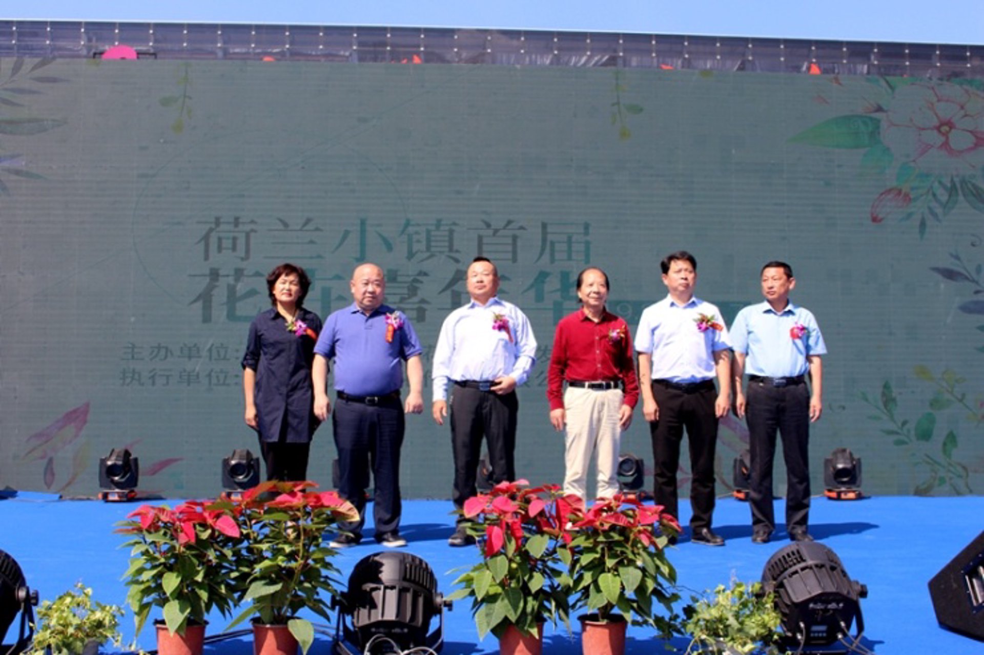 阜阳花炮批发